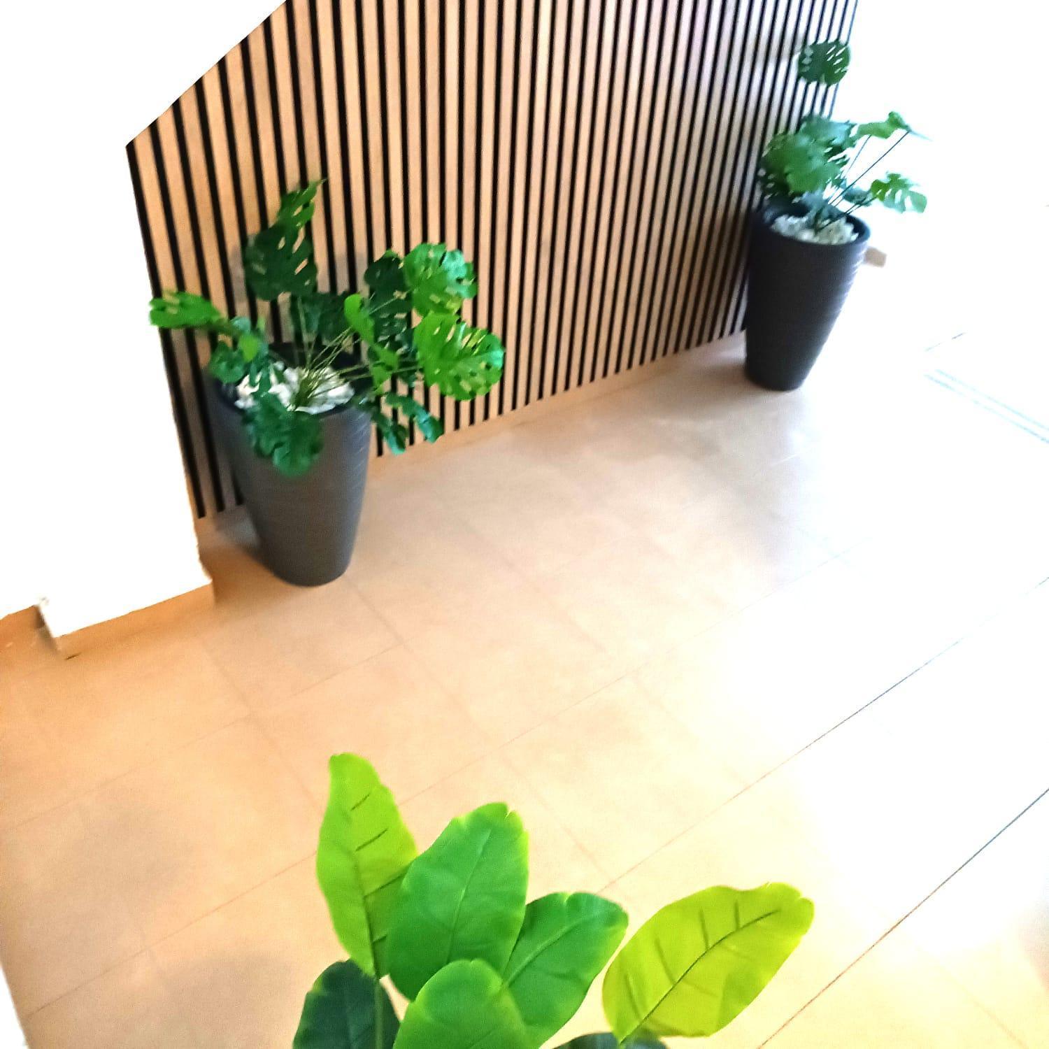 Apartamentos Terrazas De San Juan Málaga Eksteriør billede